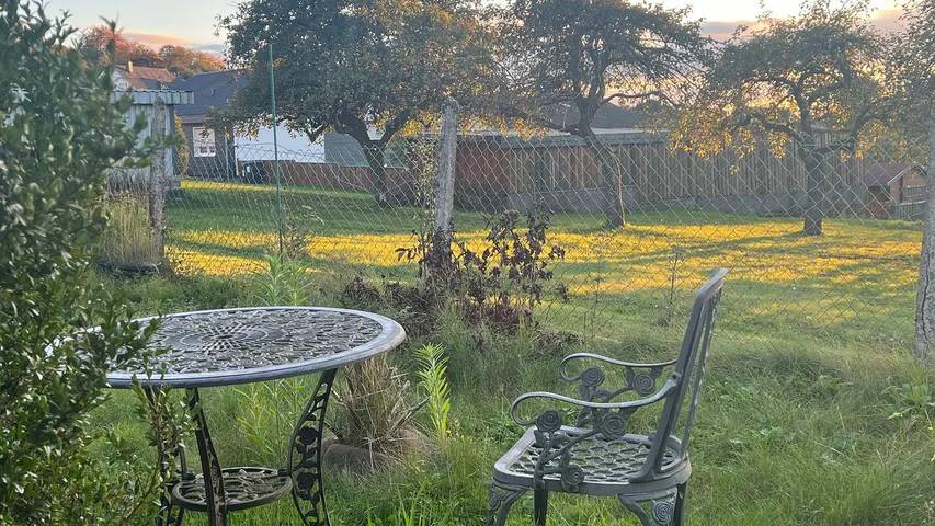 Ferienhaus für 6 Personen, mit Garten im Saarland - 4