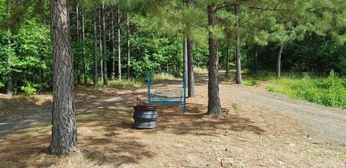 Log Cabin for 4 Guests in Oklahoma, USA, Picture 2