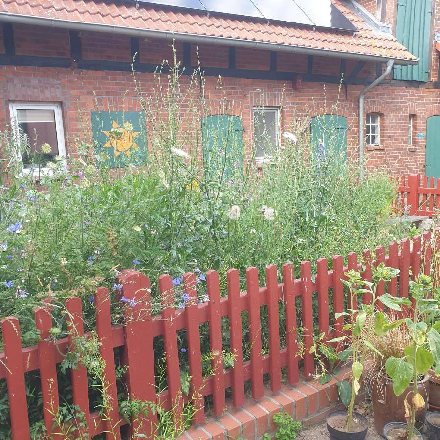 Holiday Home in Hitzacker, Elbtalaue