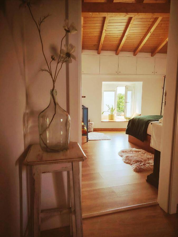 Gîte pour 3 personnes, avec terrasse et vue, animaux acceptés dans Alijó - 4