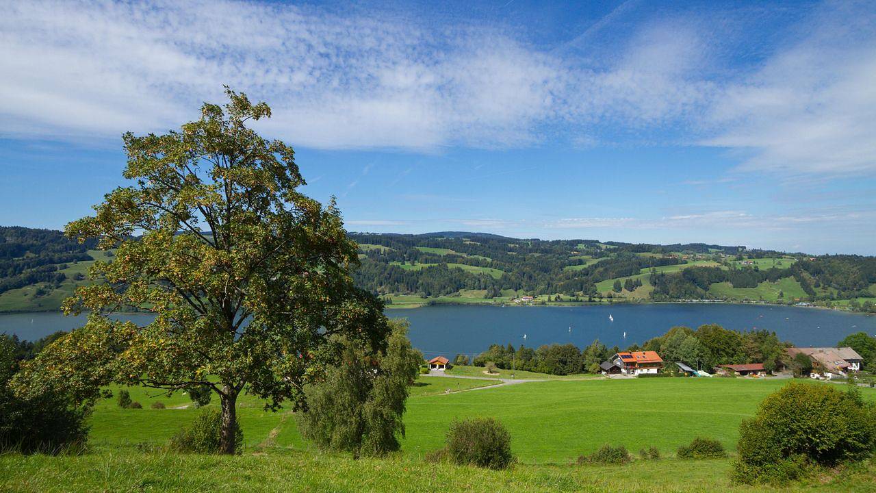 Ganze Ferienwohnung, Ferienwohnung für 4 Personen (61 m²) in Immenstadt in Bühl am Alpsee, Immenstadt