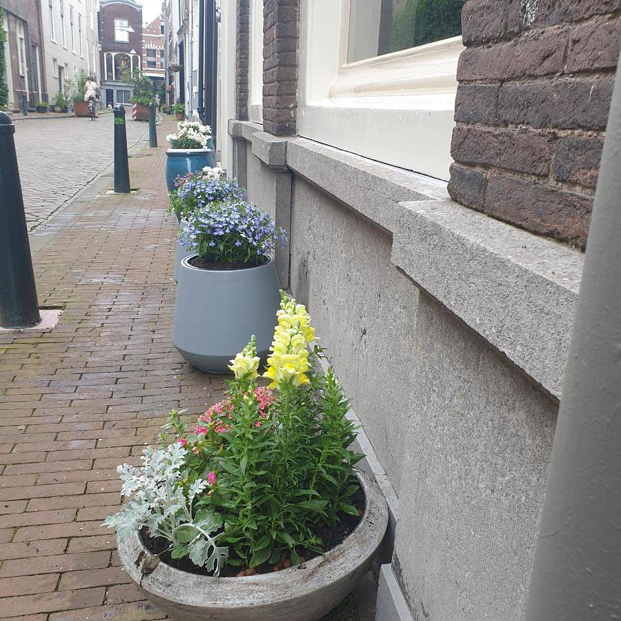 B&B Belle Chambre - Luxe in Art Deco stijl in Dordrecht, Parc national De Biesbosch