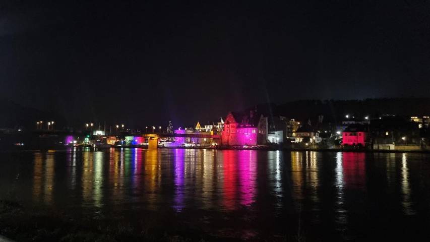 Ferienwohnung für 9 Personen, mit Ausblick und Sauna sowie Garten in Reil - 2