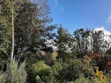 Gîte pour 4 personnes, avec vue et terrasse à Lampaul-Plouarzel