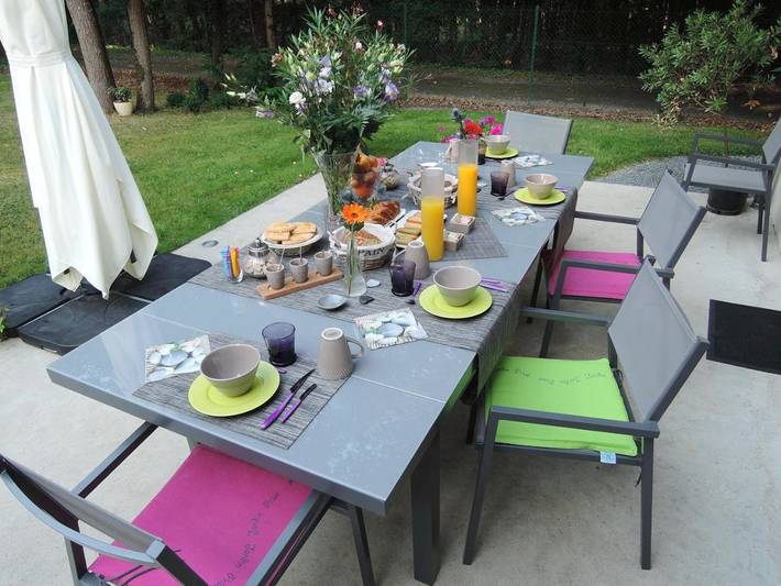 Chambre d’hôte pour 3 personnes, avec jardin et vue, animaux acceptés à Savonnières - 4