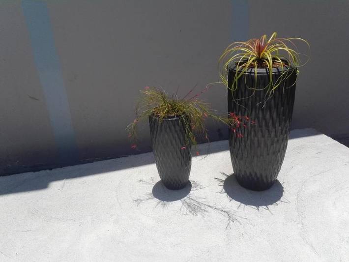 Gîte pour 6 personnes, avec piscine ainsi que jardin et vue à Sainte-Marie (Île de la Réunion) - 4
