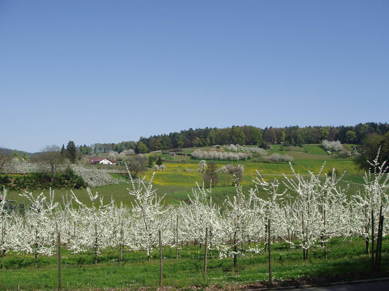 Apartamento entero, Apartamento 'Haus Hildegard Keller' con vistas al lago y Wi-Fi in Kressbronn, Region Bodensee-Oberschwaben