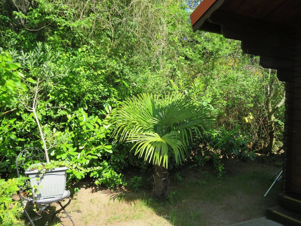 Kölp - Block`s Ferienhäuschen in Loddin, Bernsteinbäder