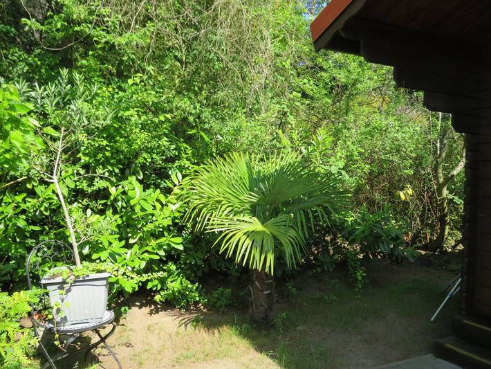 Kölp - Block`s Ferienhäuschen - Ferienhaus Block in Loddin, Bernsteinbäder