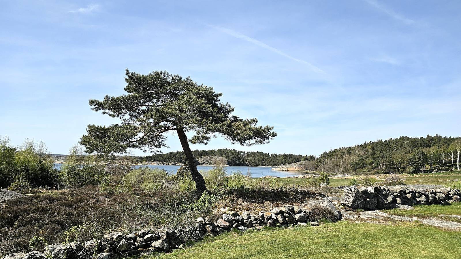 Se09126 in Varekil, Orust