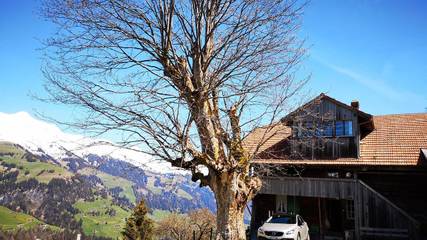 Holiday Apartment for 6 People in Frutigen, Western Alps, Photo 2