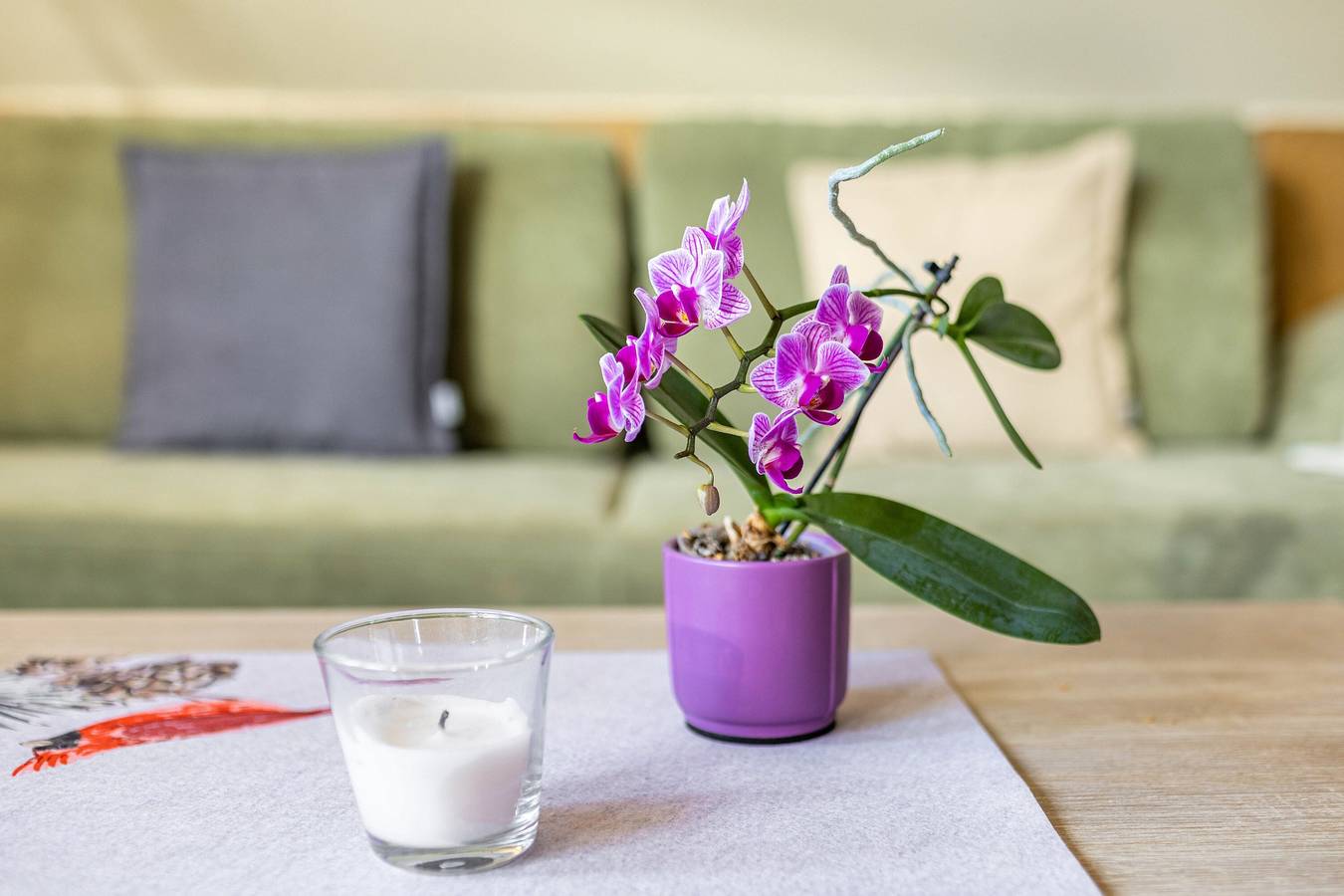 Ganze Wohnung, Apartment 'Für Monteure' mit Wlan in Densow, Templin