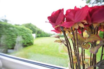 Ferienwohnung für 6 Personen in Borgsum, Föhr, Bild 3