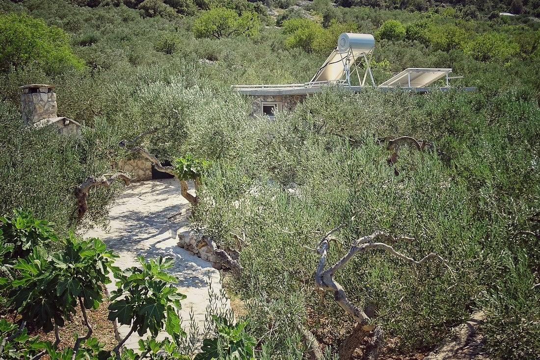 1-Zimmer-Haus mit Klima Povlja, Brac K-14500 in Povlja, Brac