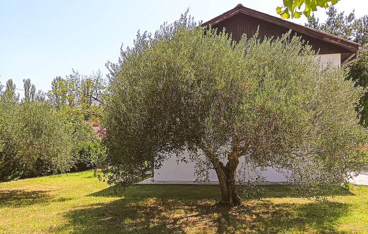 Charmante 90 m² große Wohnung mit Terrasse, WLAN, Klimaanlage und kostenlosen Parkplätzen in Dalmatinisches Zagora