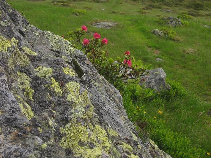 Ferienwohnung für 3 Personen, mit Garten und Ausblick, kinderfreundlich in Wildschönau - 3