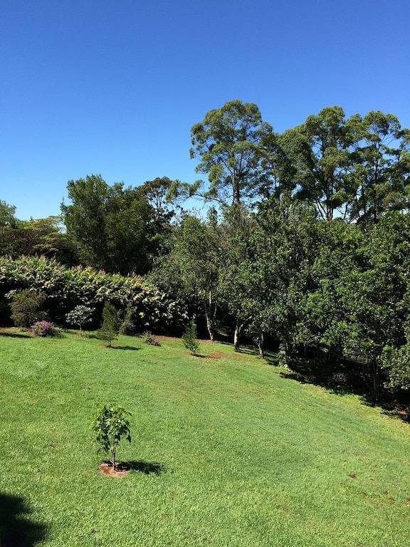 \"On Burgum Pond\" Cottage - Ruhe in der Natur in Maleny, Sunshine Coast