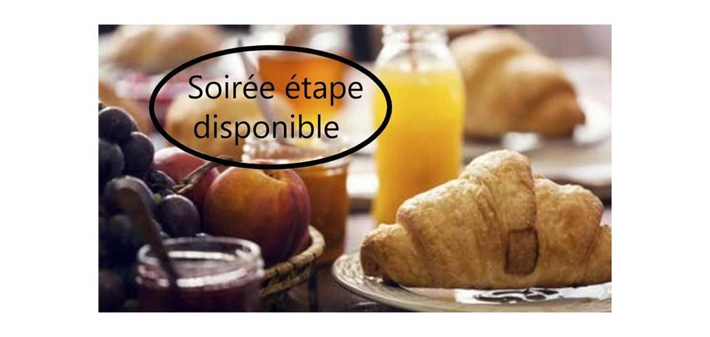 Hôtel pour 3 personnes, avec vue et terrasse, animaux acceptés à Rosporden - 3
