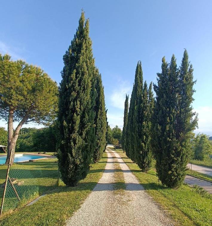 Maison d’hôte pour 2 personnes, avec jardin ainsi que vue et piscine à Gubbio - 4