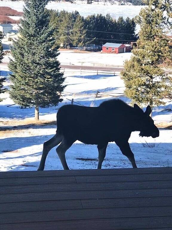 Georgetown Lake Retreat in Granite County