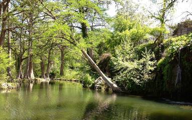 Cabin for 4 Guests in Lake Travis, Travis County, Picture 2