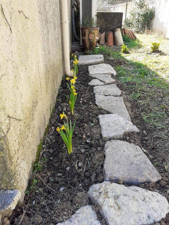 Gîte pour 3 personnes, avec terrasse à Montaud - 3
