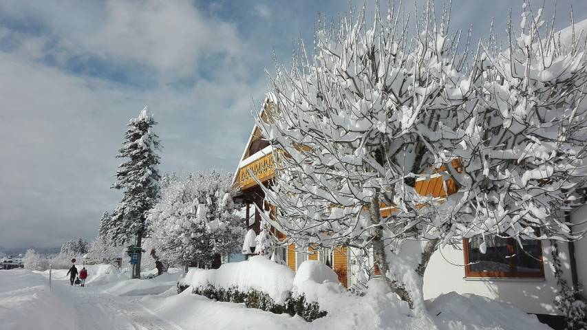 Haus Tannenwiese - Doppelzimmer mit Dusche/Wc, 19qm in Titisee (Titisee-Neustadt), Titisee-Neustadt