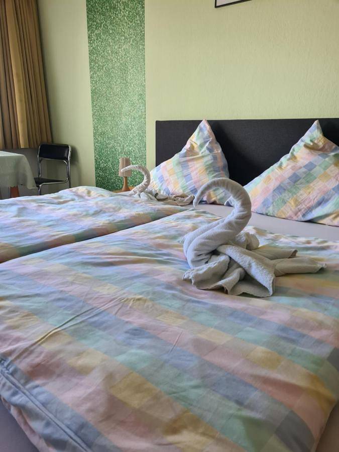 Chambre d’hôte pour 2 personnes, avec vue et jardin, animaux acceptés dans Rudesheim Am Rhein - 2