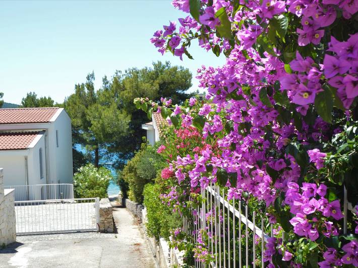Ganze Wohnung, Rose in Žaborić, Šibenik-Knin