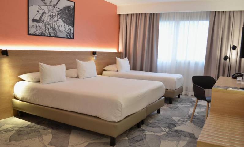 Hôtel pour 2 personnes, avec terrasse, animaux acceptés dans Cité Internationale - 4