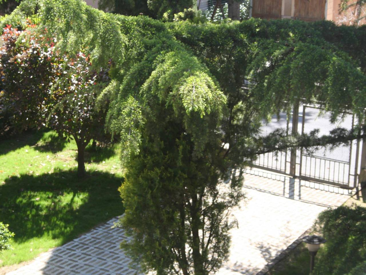 Ganze Wohnung, La Casa di Rachele Wohnung mit Garten in Sarteano, Siena Provinz