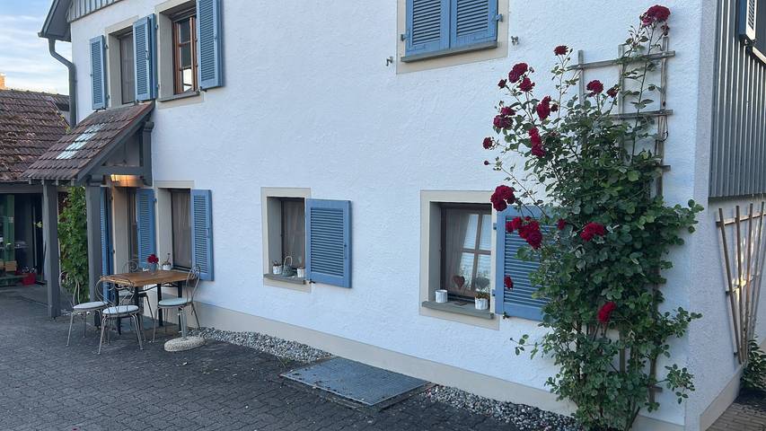 Ganze Ferienwohnung, Ferienwohnung Holl-Horn - Ferienwohnung Holl-Horn, 40 qm, 1 Schlafraum in Gaienhofen, Untersee