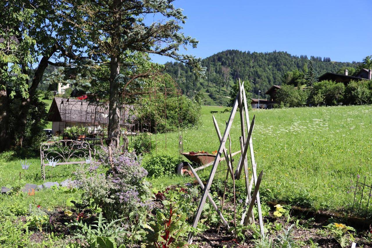 Double Room with Mountain View in La Tine, Rossinière