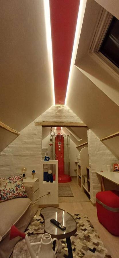 Maison d’hôte pour 3 personnes, avec sauna et jardin, animaux acceptés à Amiens - 4