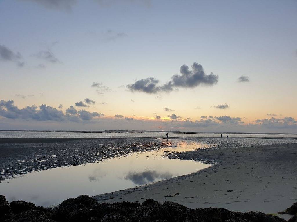 Ferienwohnung mit 1 Schlafzimmer in Oldsum, Föhr