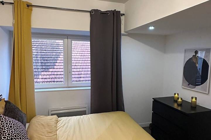 Appartement entier, Charming and Cosy Place 2 rooms 3 beds (Centre ville) in Thionville, Moselle