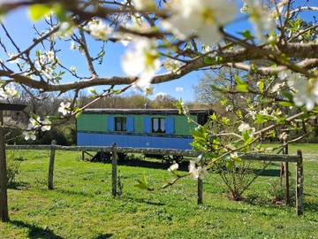 Location de vacances pour 2 personnes, avec piscine ainsi que jardin et jacuzzi à Sigalens
