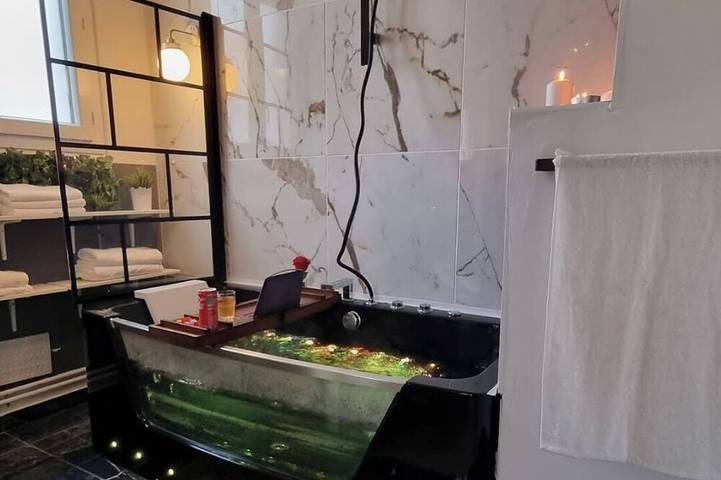 Appartement de vacances pour 2 personnes, animaux acceptés à Tours