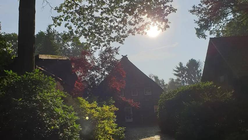 Ferienhaus für 6 Personen, mit Garten in Schneverdingen - 4