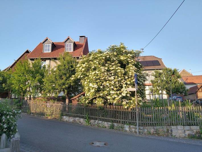 Nr. 1 in Steinfischbach in Waldems, Rheingau-Taunus-Kreis