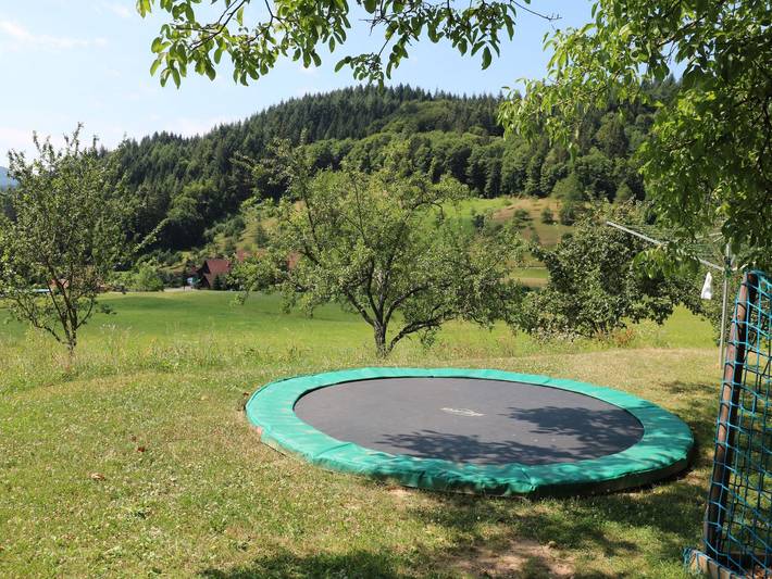 Ferienwohnung für 4 Personen, mit Garten in Seebach (Ortenaukreis) - 4