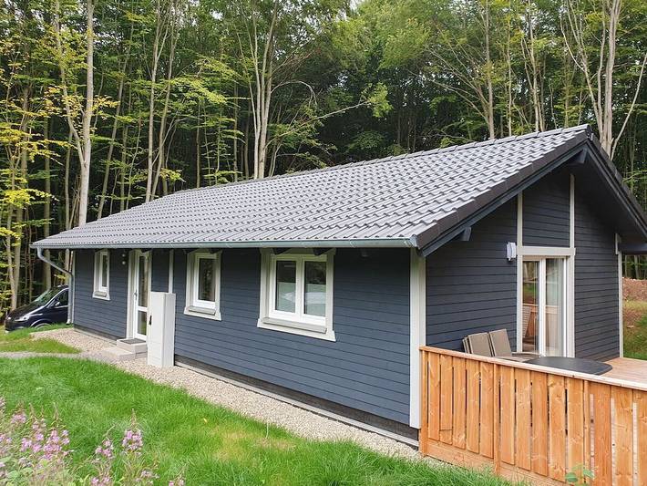 Ferienhaus für 6 Personen, mit Garten und Terrasse, mit Haustier in Bad Arolsen - 2