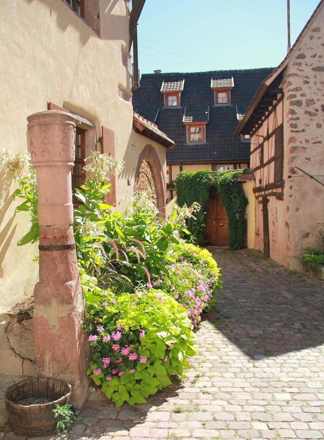 Ganze Wohnung, Les Gîtes Coeur de Vigne in Riquewihr, Regionaler Naturpark Belchen der Vogesen
