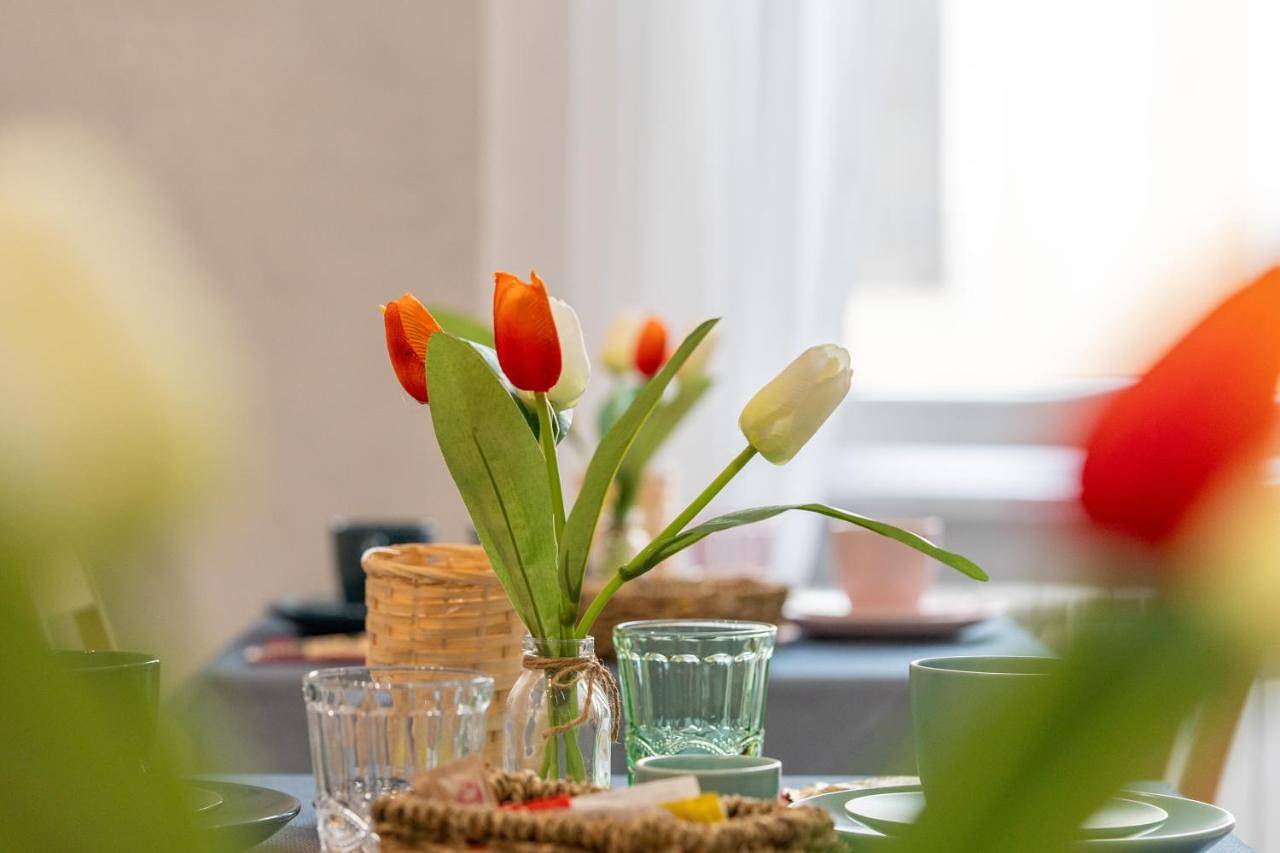 Suites Matteotti 57 in Civitavecchia, Provincia di Roma
