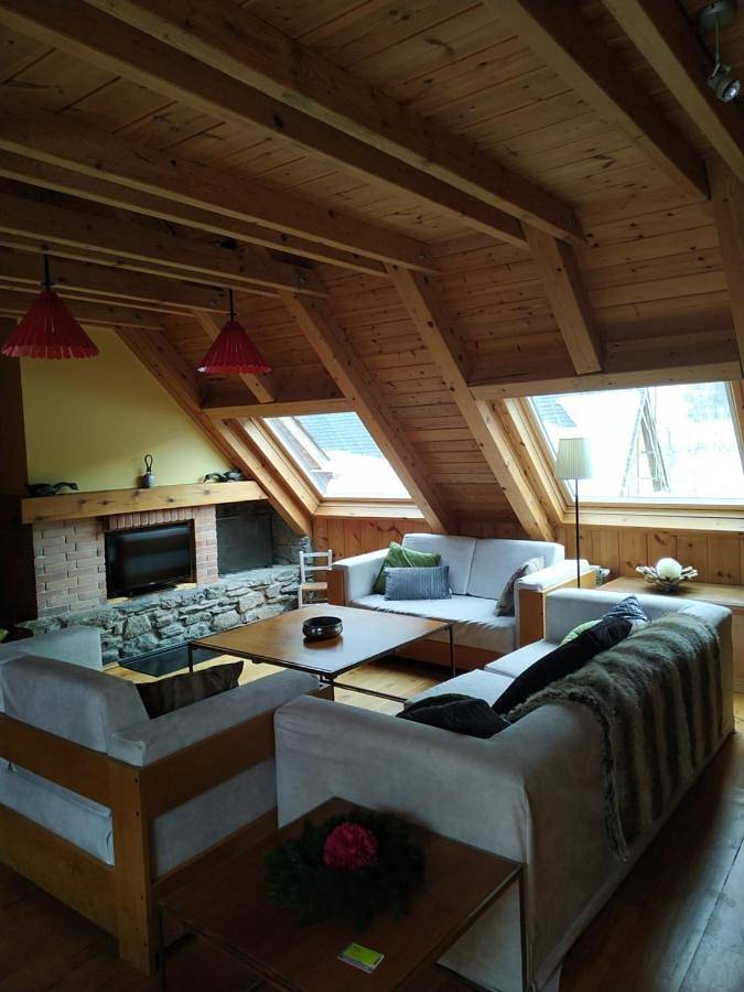 Chalet pour 15 personnes, avec piscine et vue, animaux acceptés dans Baqueira Beret - 2