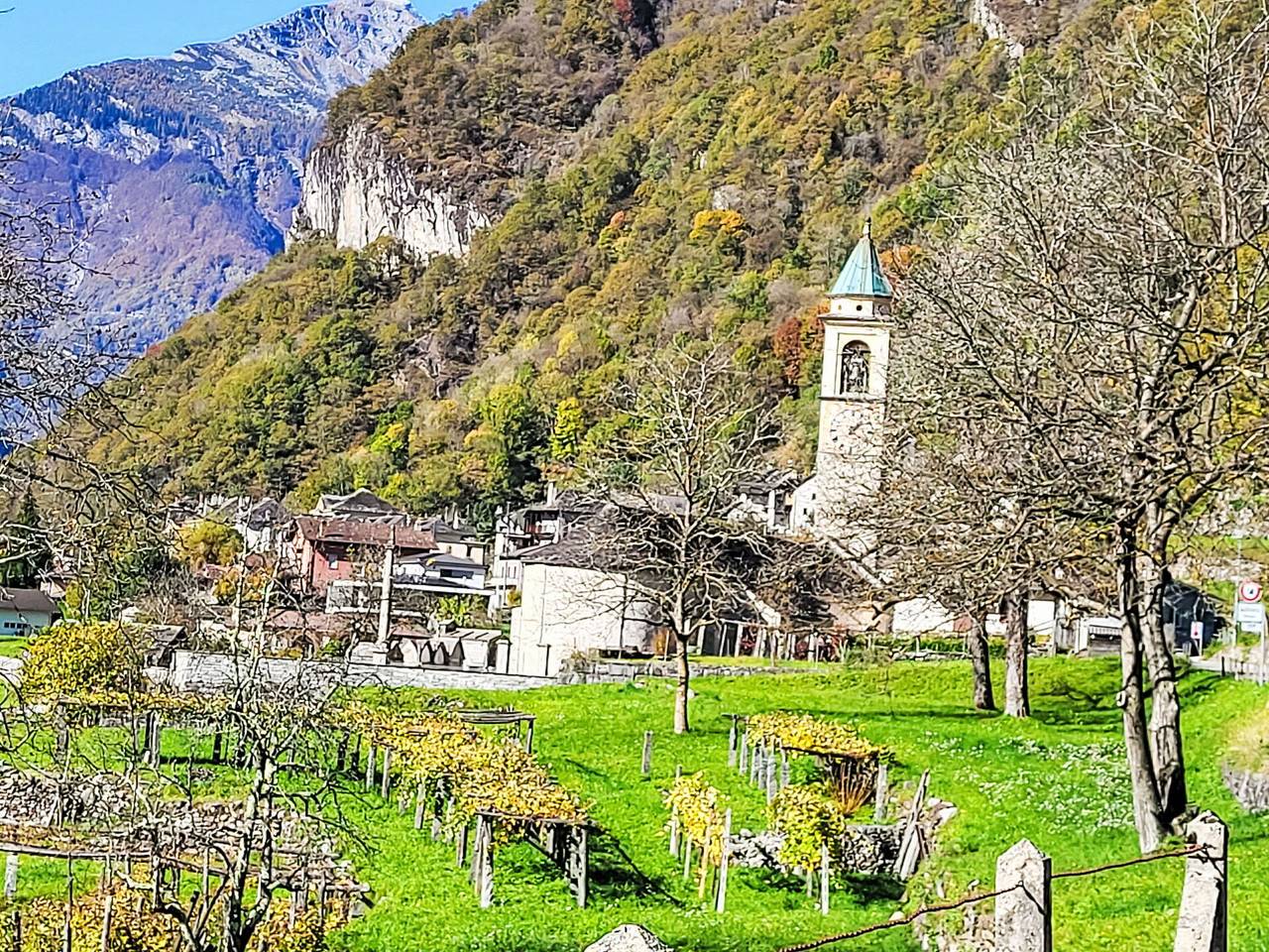 Ca Sina - Ca Sina 651.1 in Maggia, Tessiner Alpen