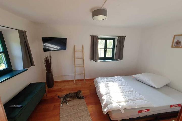 Ferienhaus für 8 Personen, mit Terrasse und Garten in Landkreis Straubing-Bogen - 3