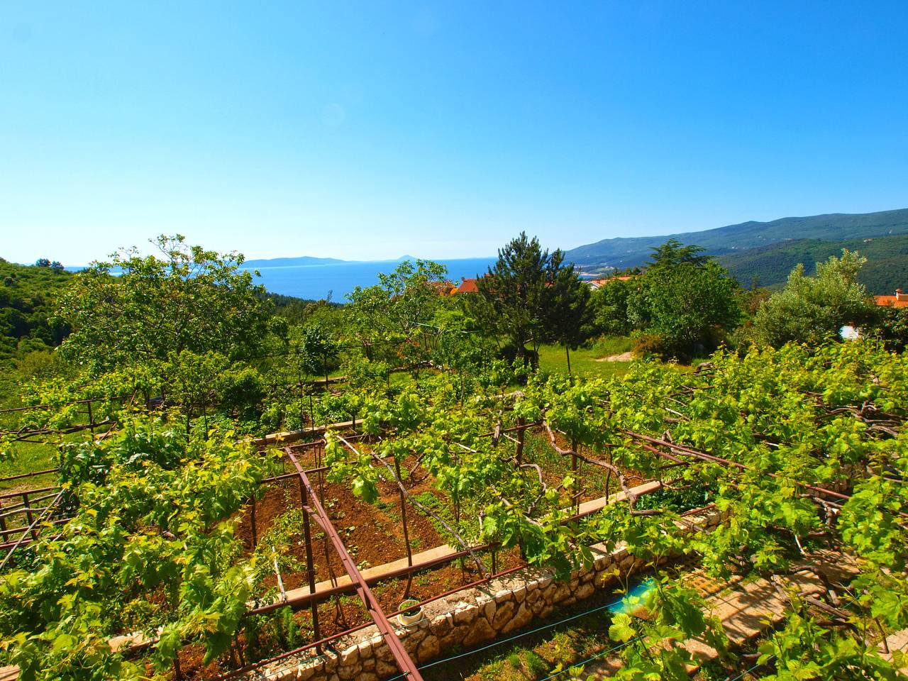 Ganze Wohnung, Ferienwohnung für 5 Personen mit Balkon in Rabac, Labin-Rabac