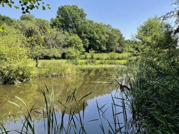 Gîte pour 6 Personnes dans Saint-Berain-sous-Sanvignes, Région d'Autun, Photo 1