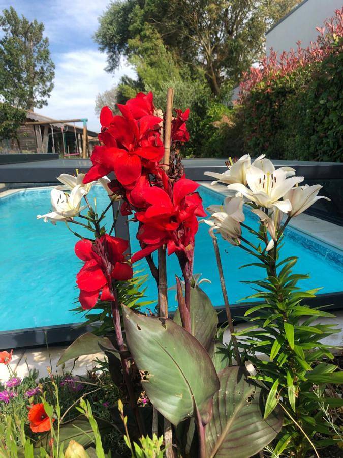 Maison d’hôte pour 2 personnes, avec Terrasse et Jardin ainsi que Piscine et Vue